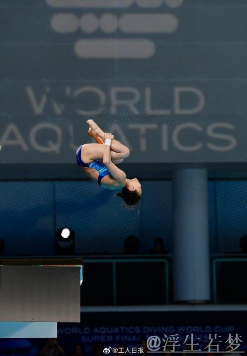跳水世界杯决赛：男子10米跳台预赛