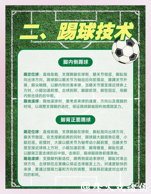 全面解读世界杯体育网站最新资讯